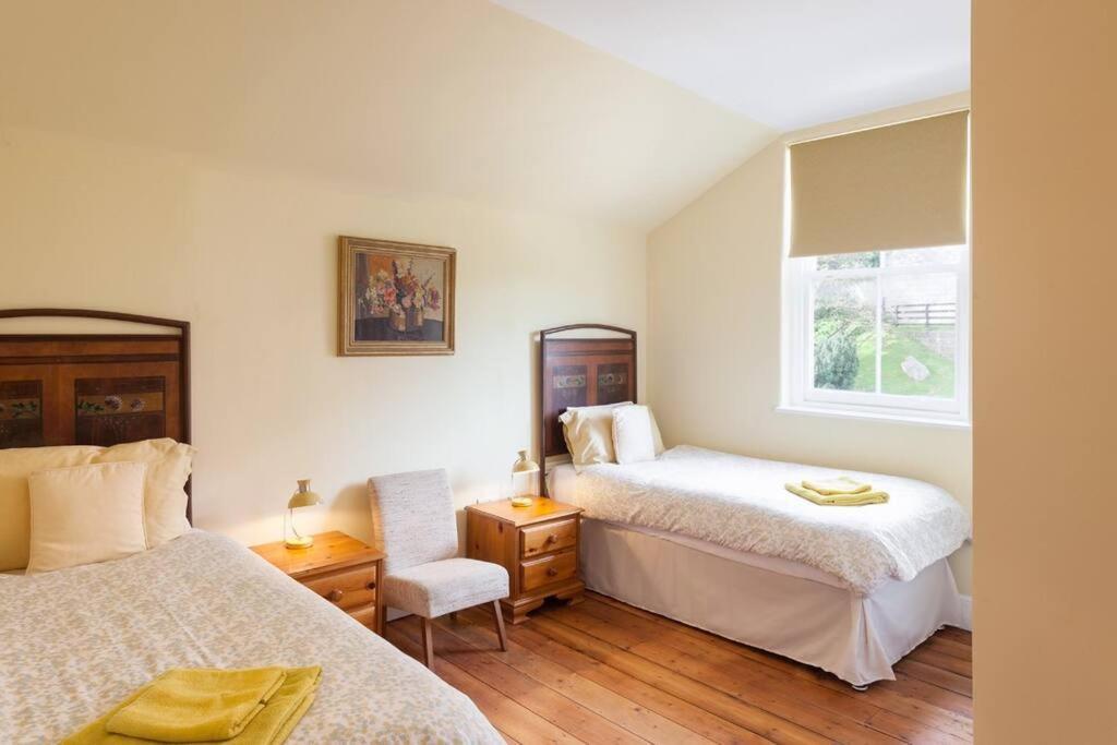Merlin Court Ilfracombe Ngoại thất bức ảnh